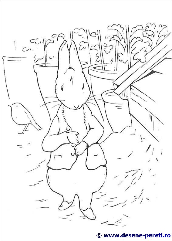 Peter Rabbit desene de colorat